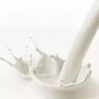 Молоко органическое сырое (1л)